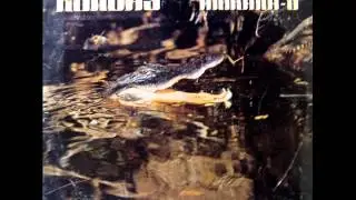 Kongas - Jungle 1978