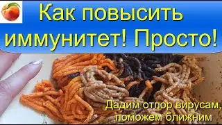 Как повысить иммунитет Просто! Вкусное витаминное средство готовится 10 минут!