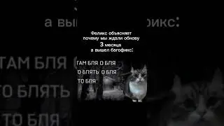 думаю хватит мемов про аутизм Феликса ;) 
