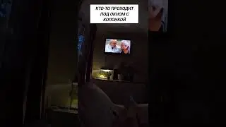 Колонка 