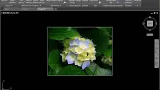 Raster immagine autocad