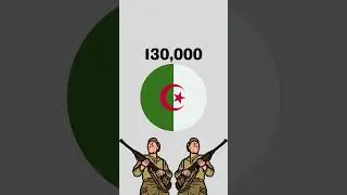 What if France tried to take back Algeria in 2022?