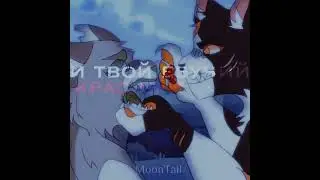 𝑴𝒂𝒑𝒍𝒆𝒔𝒉𝒂𝒅𝒆⚜𝑨𝒑𝒑𝒍𝒆𝒅𝒖𝒔𝒌