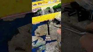 Berlatih Kesabaran 