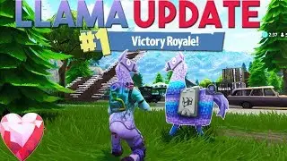 The WORST way to die in Fortnite Battle Royale? *FACECAM*