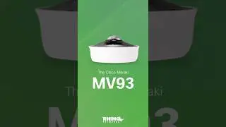 Product Highlight: MV93 #shorts