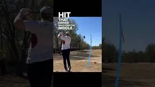 MY FIRST EAGLE! 