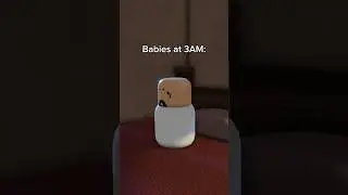 The baby alarm 