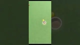 The Golf Ball Went Into The Hole And Disappeared.