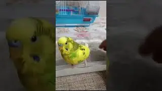 Жарко - купаться !