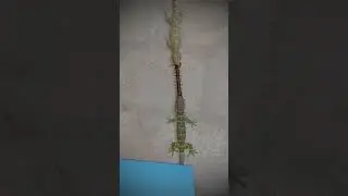#пхукет