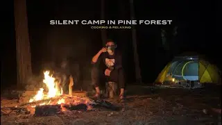 Silent Camp in Pine Forest | Cooking & Relaxing | Sound of Nature | ASMR