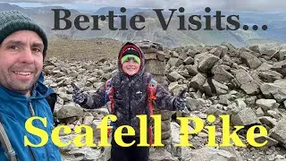 Bertie Visits... Scafell Pike