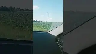 Corn fields Russia Moscow region