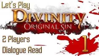 Let's Play: Divinity Original Sin - Part 1
