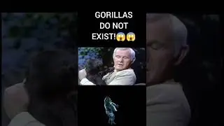 GORILLAS are not REAL ANIMALS!😱😱