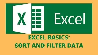 Excel Basics: Sort and Filter Data