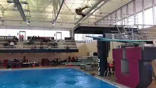 Nathan Gonzales 3 Meter Diving Best Dives