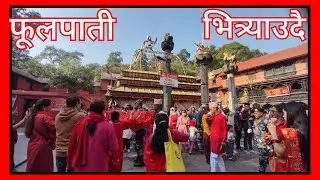 फूलपाती भित्र्याउदै। गुहेश्वरि मन्दिर। नवरात्री दशैं