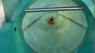 Aquagliss Freyming-Merlebach - Röhrenrutsche / Tobbogan Onride