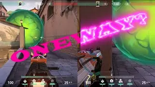 Viper ascent (2)