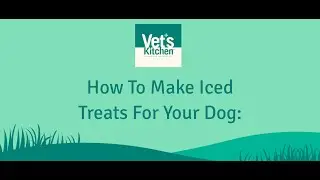How to Make Ice Treats For Dogs