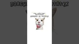 Как работают месячные?