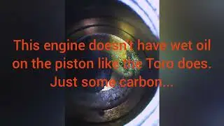 Foxola Bora Scope veiw and reveiw in 3 of my small Engine's