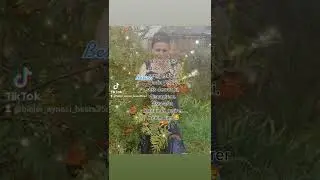 Qadin ele bir sexsiyetdi ki,Qadin dediyi sexs demez Qisqaniram.Asta-asta burnunda.getirer menim kimi