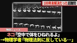 [Cat twist problem] A super difficult problem that has remained unsolved for over 100 years