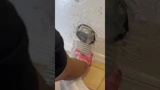 Worlds Strongest Vacuum shows off Incredible Suction! #oddlysatisfying #unclogging #cleaning