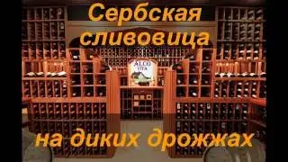 Сливовица на диких дрожжах