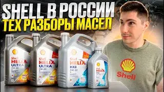 Масло SHELL - мы вернули легенду в Россию! А вы всё ещё льёте в свой автомобиль аналог??