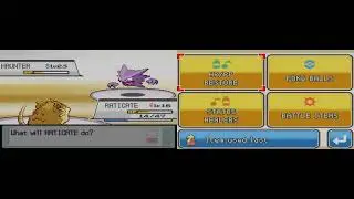 Pokemon SoulSilver the third gym was crazy