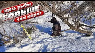 Забурился в КОРЯГАХ. Омута ЗАБИТЫ рыбой. Рыбалка на безмотылку на малых реках.