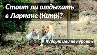Стоит ли отдыхать в Ларнаке?