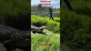 это жесть,не повторять!