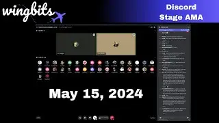 Wingbits Discord Stage: May 15, 2024