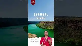 CURRENT AFFAIRS PROMPTER - Gandhi Sagar Wildlife Sanctuary