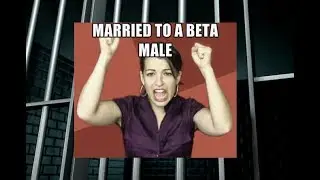 Jordan Peterson: Beta males, low social status & antisocial behavior