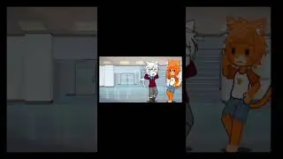 Кайто не пошутил?! 🙀 