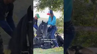 Fui subir e o cavalo levantou 