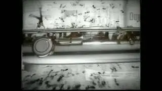 Mike Oldfield - 1993  the bell