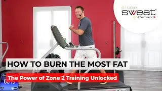 How to Burn the Most Fat!! - The Power of Zone 2 Training Unlocked.