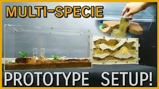 MY ANTS HABITAT UPGRADE | D colony