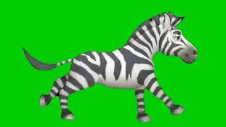 zebra running green screen animation | Editor G