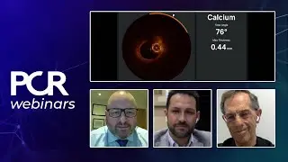 How OCT/XRay imaging workflow can improve procedure in treating calcified lesions - Webinar