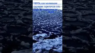 Ледяные тарелочки на поверхности озера Байкал🌊