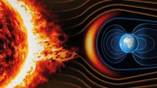 How the universe got its magnetic field