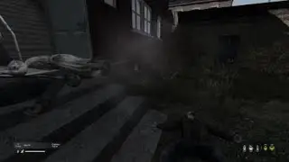 DayZ_20210126173353